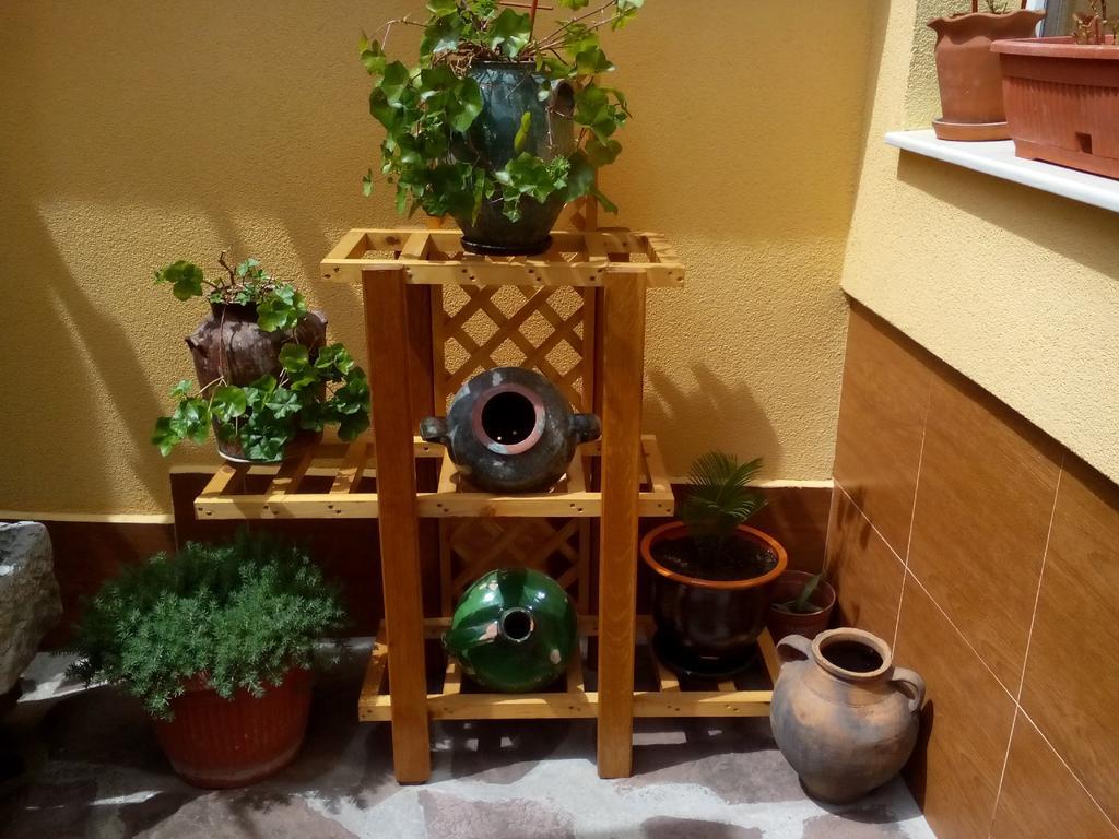 Guesthouse Geto Belogradçik Dış mekan fotoğraf